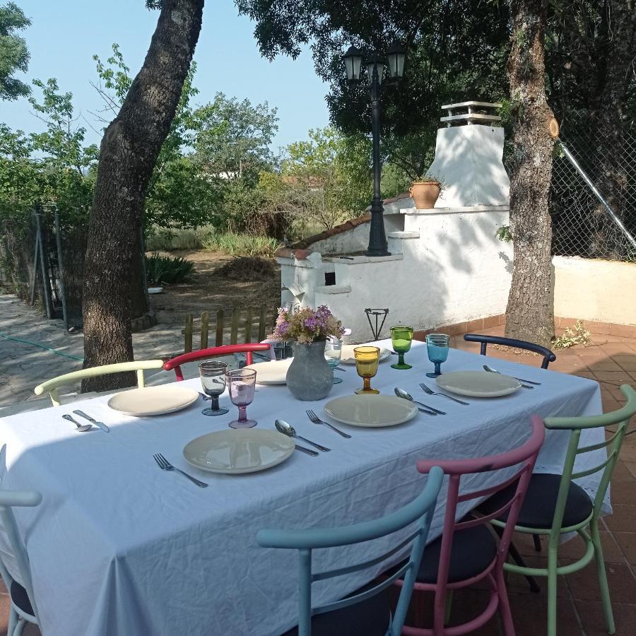 Casa Rural Vinas Perdidas Béjar Exterior foto
