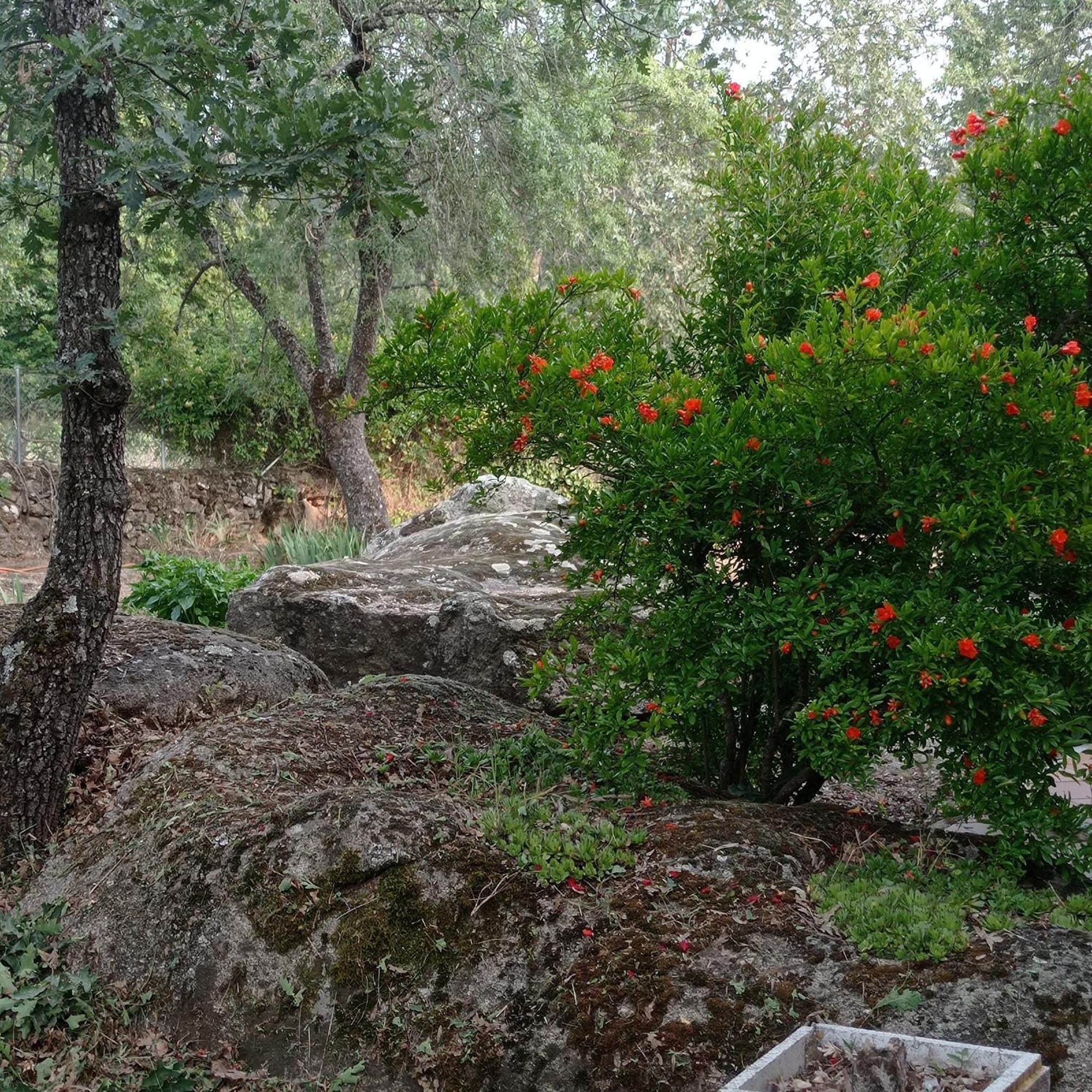Casa Rural Vinas Perdidas Béjar Exterior foto