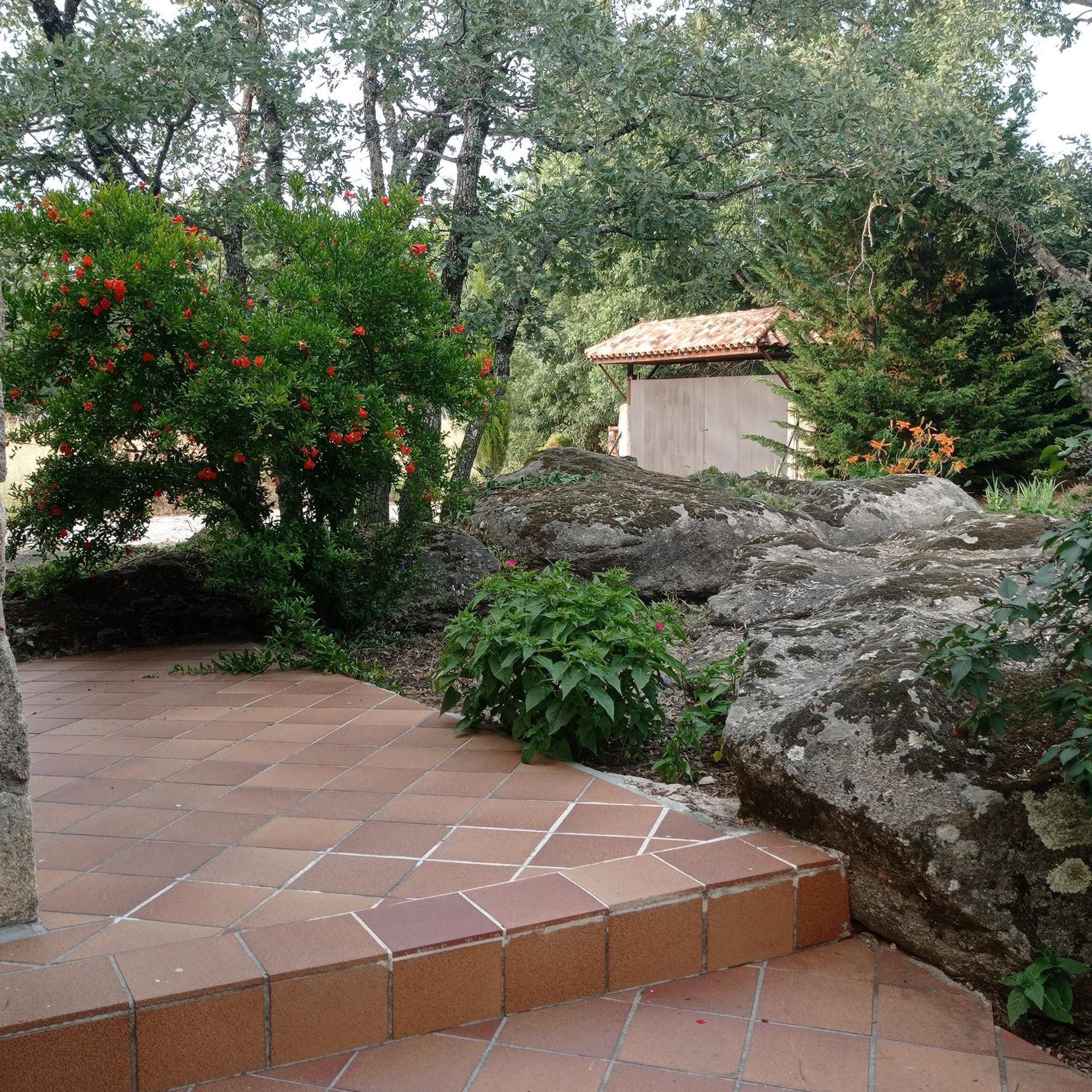 Casa Rural Vinas Perdidas Béjar Exterior foto